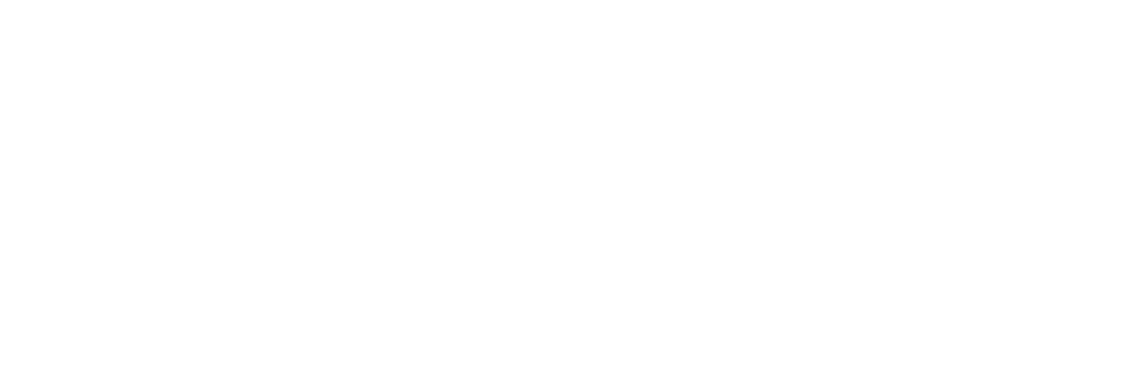 Hilt International Security